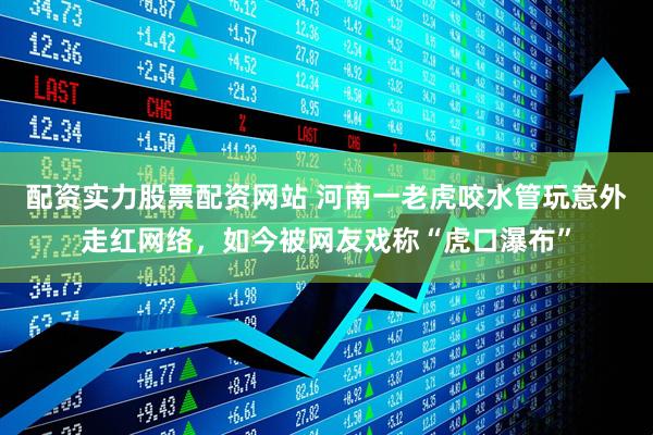 配资实力股票配资网站 河南一老虎咬水管玩意外走红网络，如今被网友戏称“虎口瀑布”