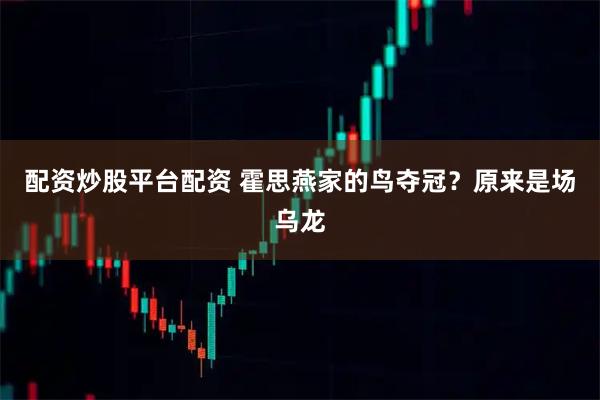 配资炒股平台配资 霍思燕家的鸟夺冠？原来是场乌龙